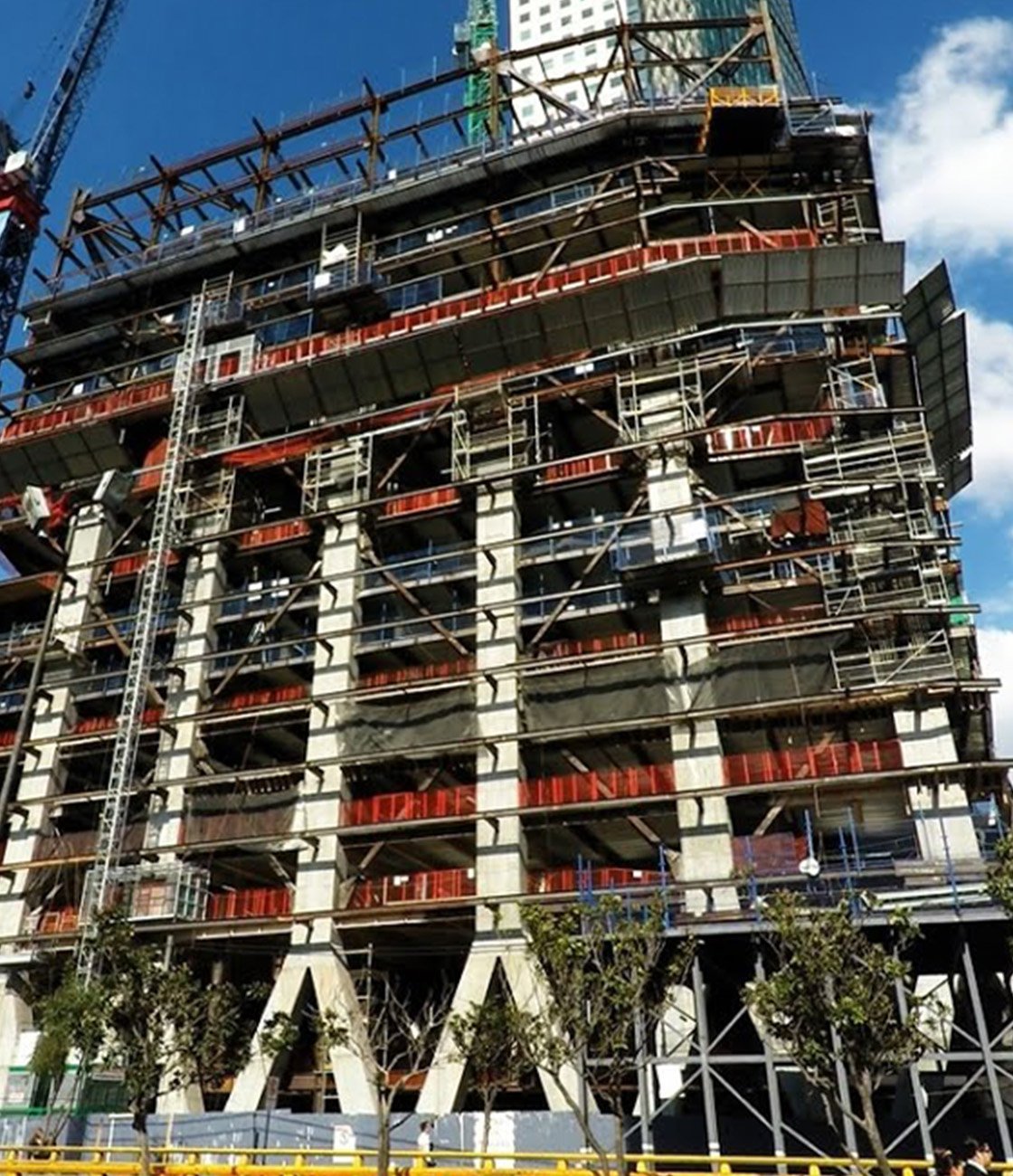 Bovis-Servicios-IA03-01