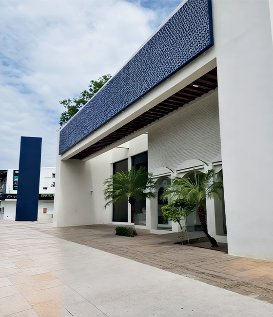 Bovis_Home_Sectores-Multisitios